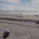 bvrdublin profile picture