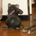 erniem profile picture