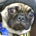 Briber profile picture