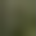 ChilledSilver profile picture