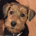 Xav Welsh profile picture