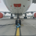 Fleipeg profile picture