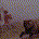 Lakeaffect profile picture