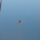 415003 profile picture