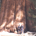 PaulTD profile picture