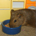 beefy136 profile picture
