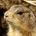 johnboy1865 profile picture