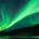 svalbard10 profile picture