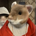 Iron Hamster profile picture