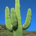 Bodipb profile picture