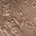 Clay King profile picture
