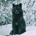 ibarkinthedark profile picture