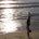 i_am_seeker_2 profile picture