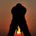sportsvine profile picture