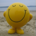 WinningStockTrader profile picture