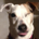 benyboy profile picture