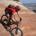 Josep Coderch profile picture