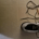 larryjust profile picture