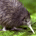 Big Fat Dummy profile picture