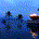 dxu8888 profile picture