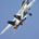 vf__101 profile picture