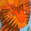 aardvark3 profile picture