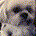 FlaYankee profile picture