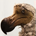scinvestor profile picture