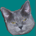Dividend Herder profile picture