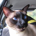 0xfc profile picture