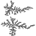 Fractalman profile picture