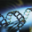 DNA Decoder profile picture