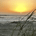 astuteinv1 profile picture