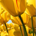 fussyGroup profile picture