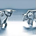 csrsc profile picture