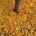 precise profile picture
