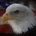 Interesting Times profile picture