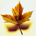 dbdaw profile picture