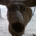 timcos profile picture