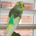 biogenius profile picture