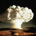 aftermath23 profile picture