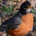 657 profile picture