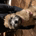 Brent1100 profile picture