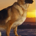 Bingy77 profile picture