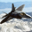 kazetg3 profile picture