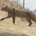 BartAtTheRanch profile picture