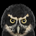 FuriousA profile picture