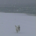 seekfind123 profile picture