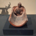 kevinrshort profile picture