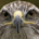 MAYHAWK profile picture